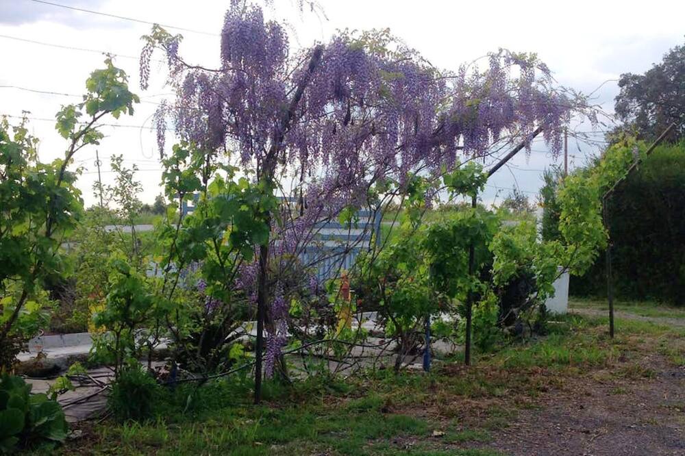 Photo of Outdoor in Montemor-o-Novo