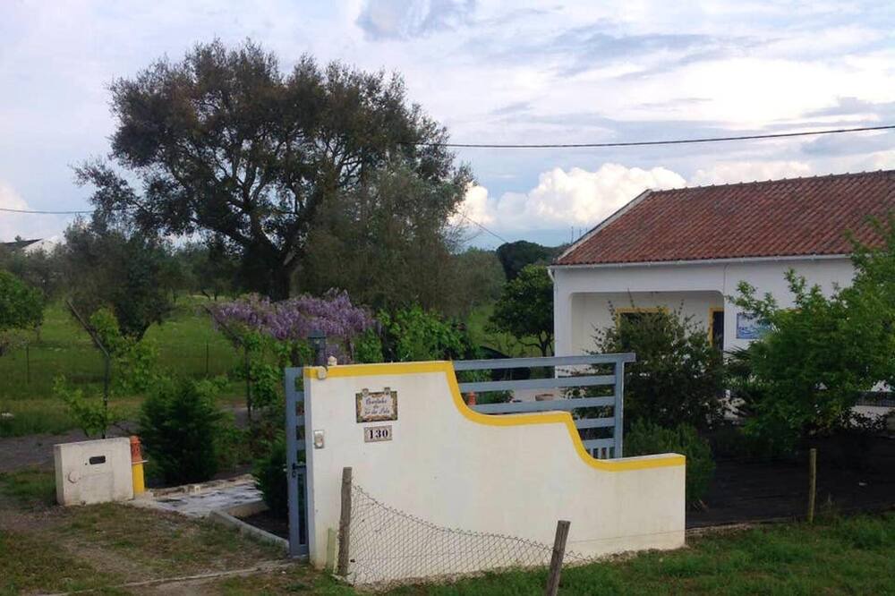 Photo of Outdoor in Montemor-o-Novo