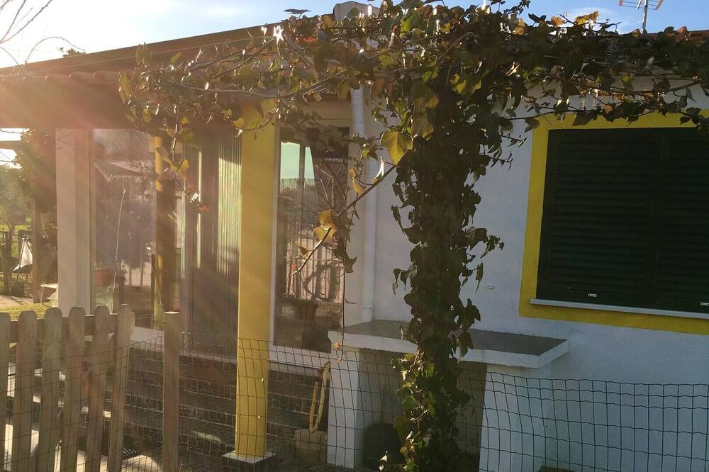 Photo of Outdoor in Montemor-o-Novo