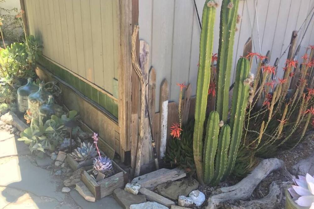 Photo of Others in Los Alamos