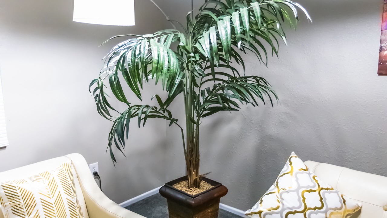 Photo of Livingroom in Paradise