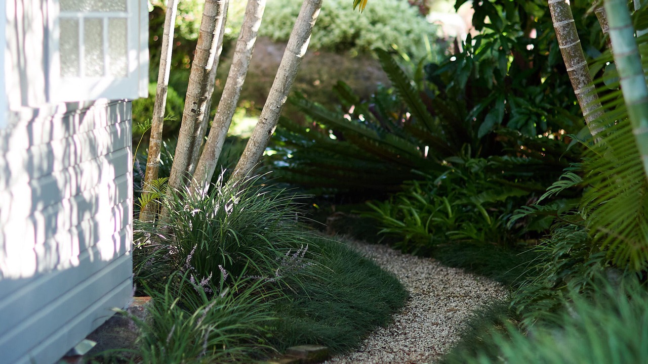 Photo of Outdoor in Mullumbimby