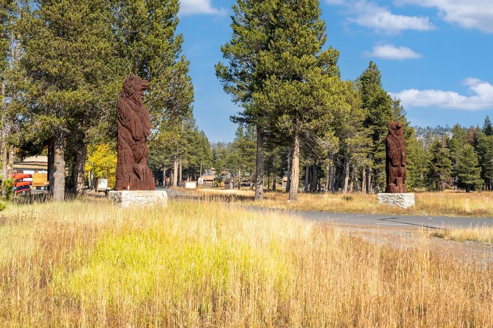 Photo of Others in Bear Valley