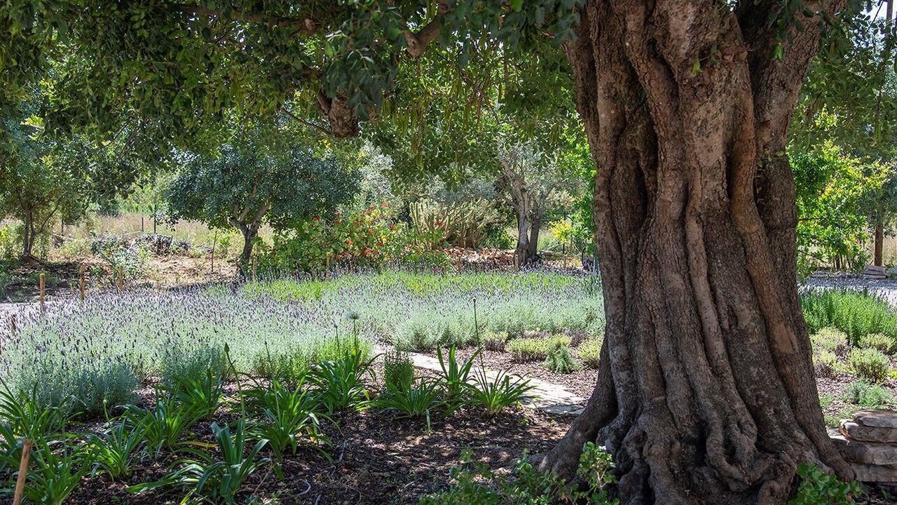 Photo of Outdoor in Santo Estevao