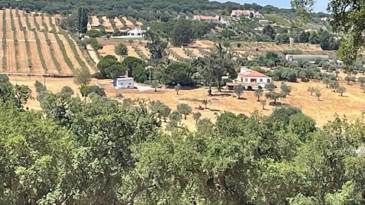 Photo of Outdoor in Montemor-o-Novo