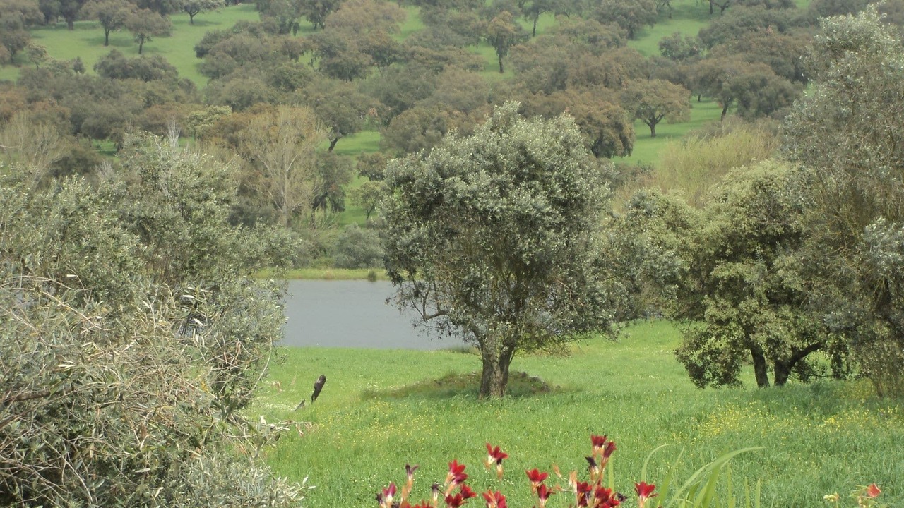 Photo of Outdoor in Montemor-o-Novo