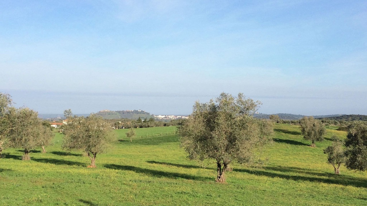 Photo of Outdoor in Montemor-o-Novo
