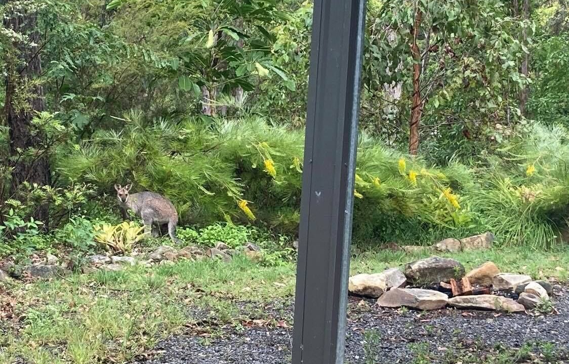 Photo of Outdoor in Neranwood