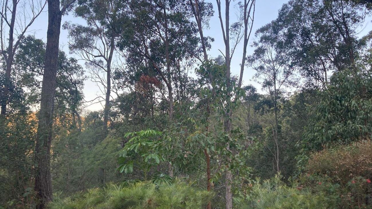 Photo of Outdoor in Neranwood