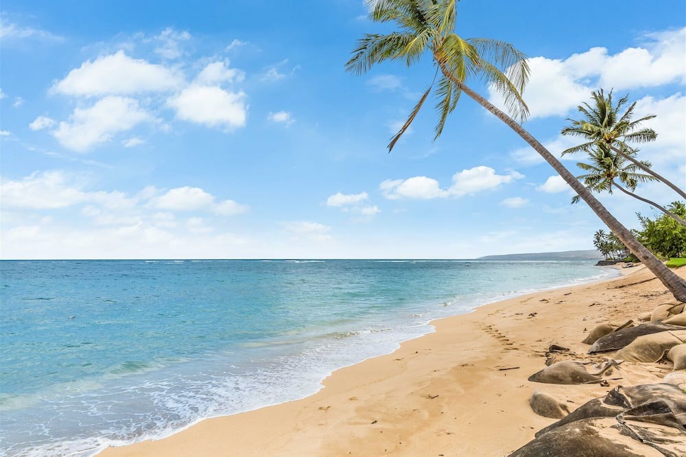 Photo of Others in Waialua