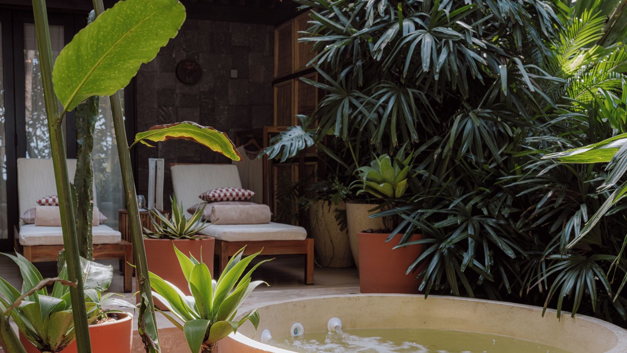 Photo of Bedroom in Punta Uva