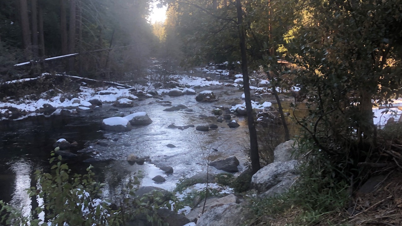 Photo of Outdoor in Kyburz
