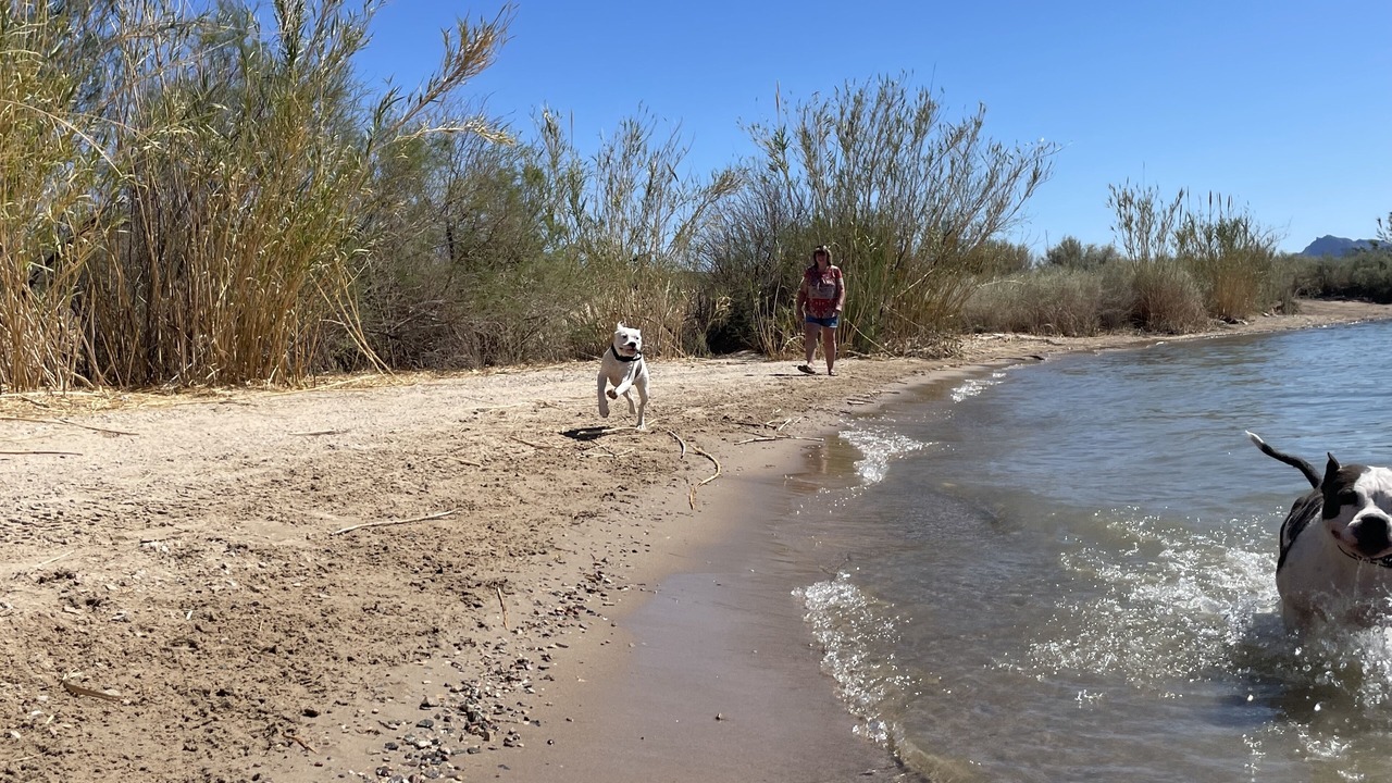 Photo of Others in Lake Havasu City