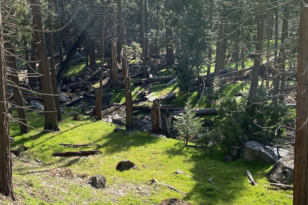Photo of Outdoor in Posey