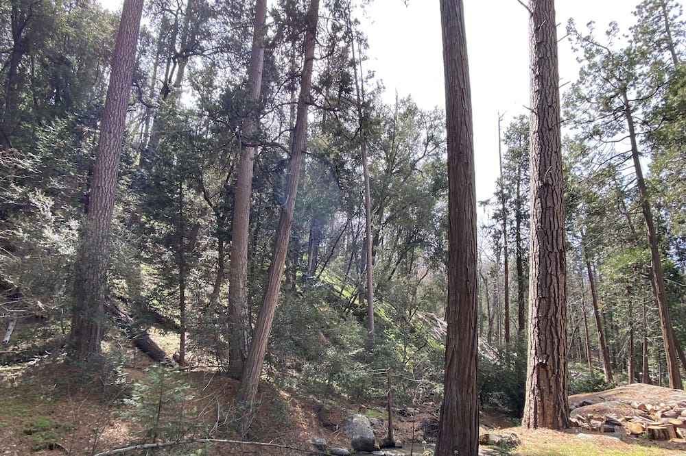 Photo of Outdoor in Posey