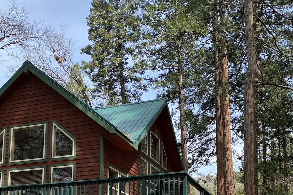 Photo of Outdoor in Posey