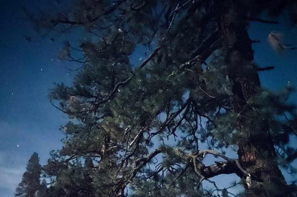 Photo of Outdoor in Bear Valley