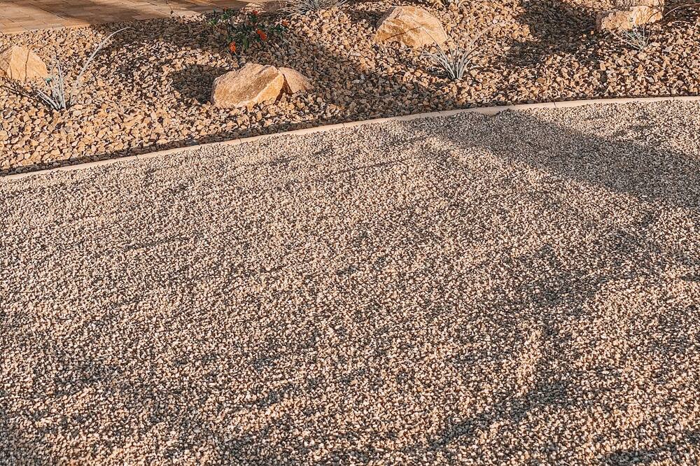 Photo of Others in Needles