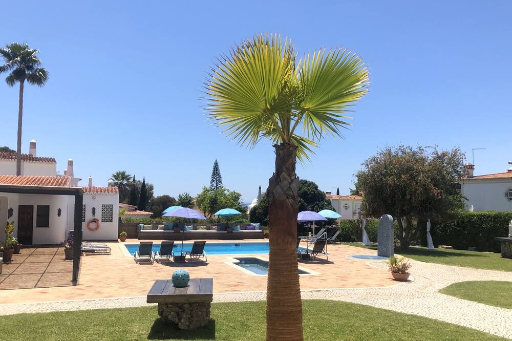 Photo of Outdoor in Mato Serrao