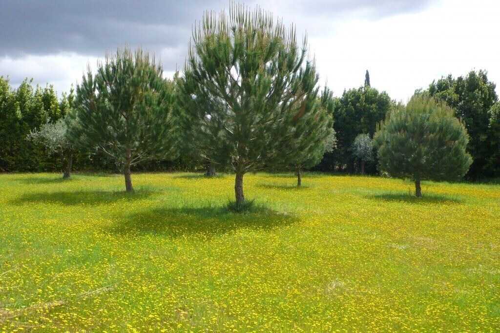 Photo of Outdoor in Curvaceiras Grandes