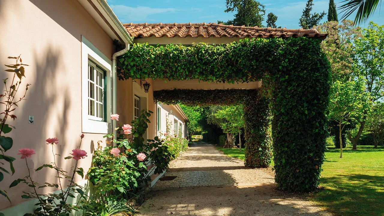 Photo of Outdoor in Curvaceiras Grandes