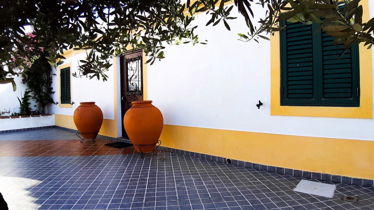 Photo of Outdoor in Estrela
