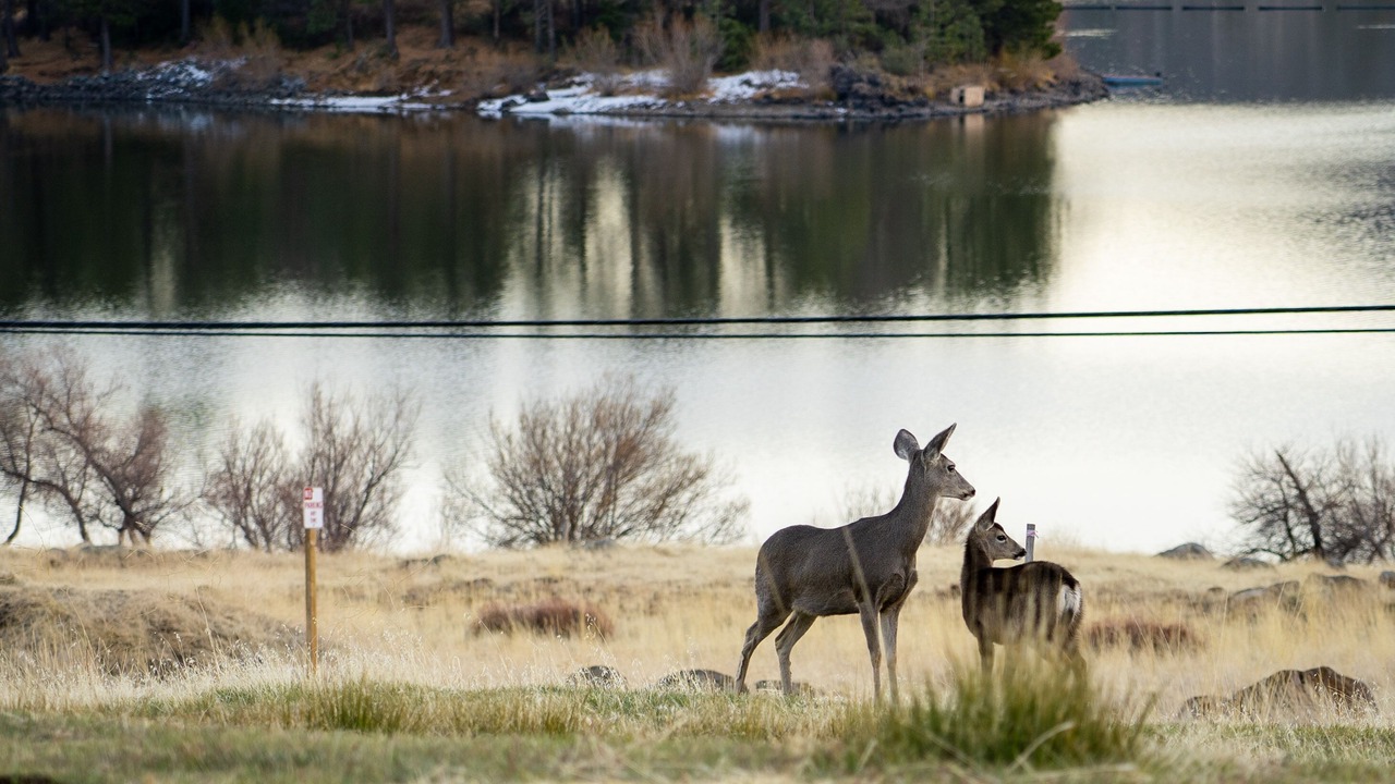 Photo of Outdoor in Julian