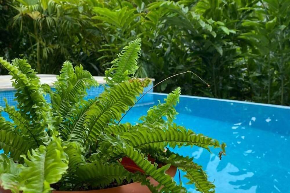 Photo of Outdoor in Ciudad Cortes