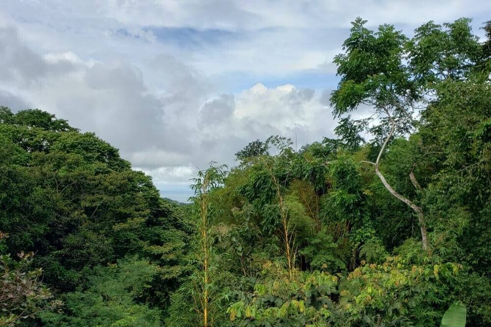 Photo of Outdoor in Ciudad Cortes