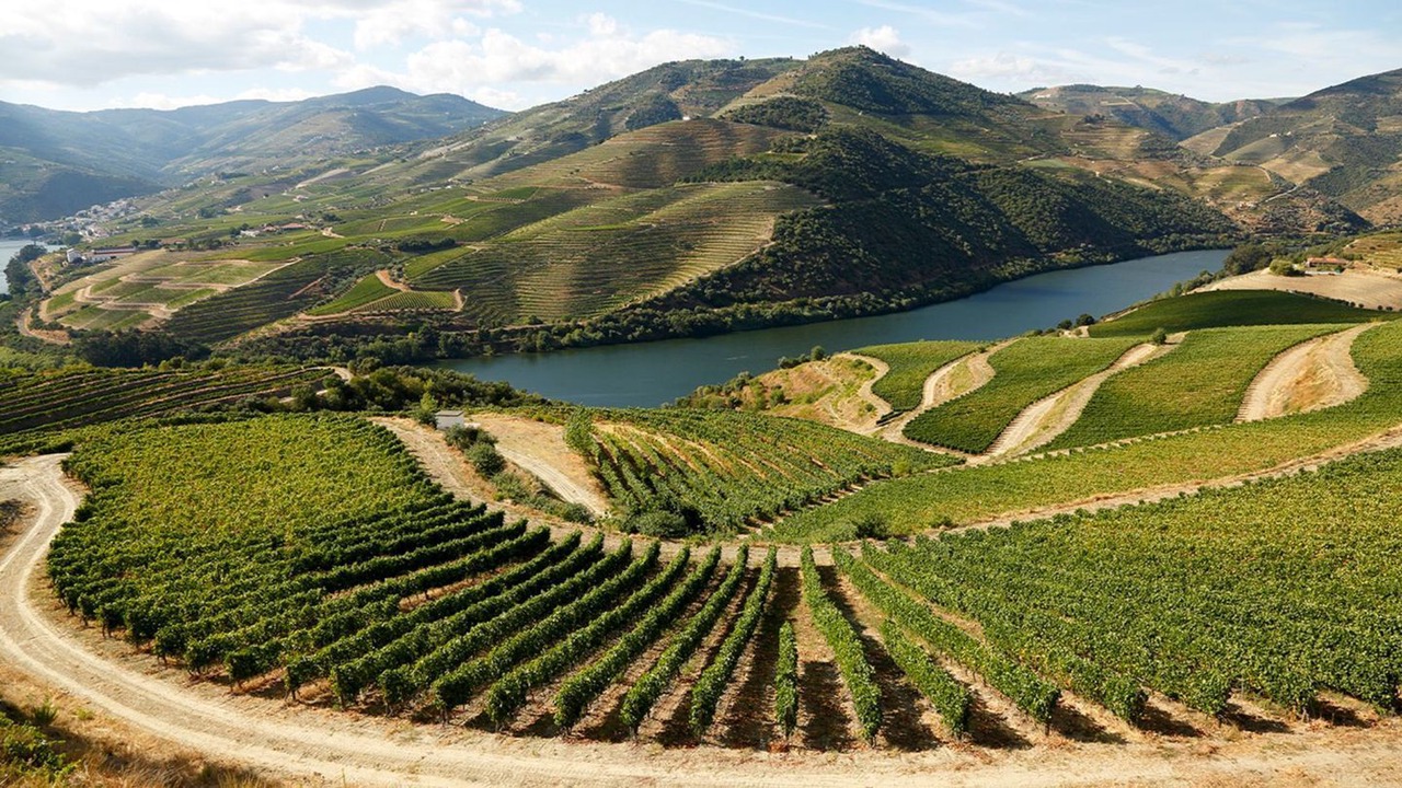 Photo of Outdoor in Cotas