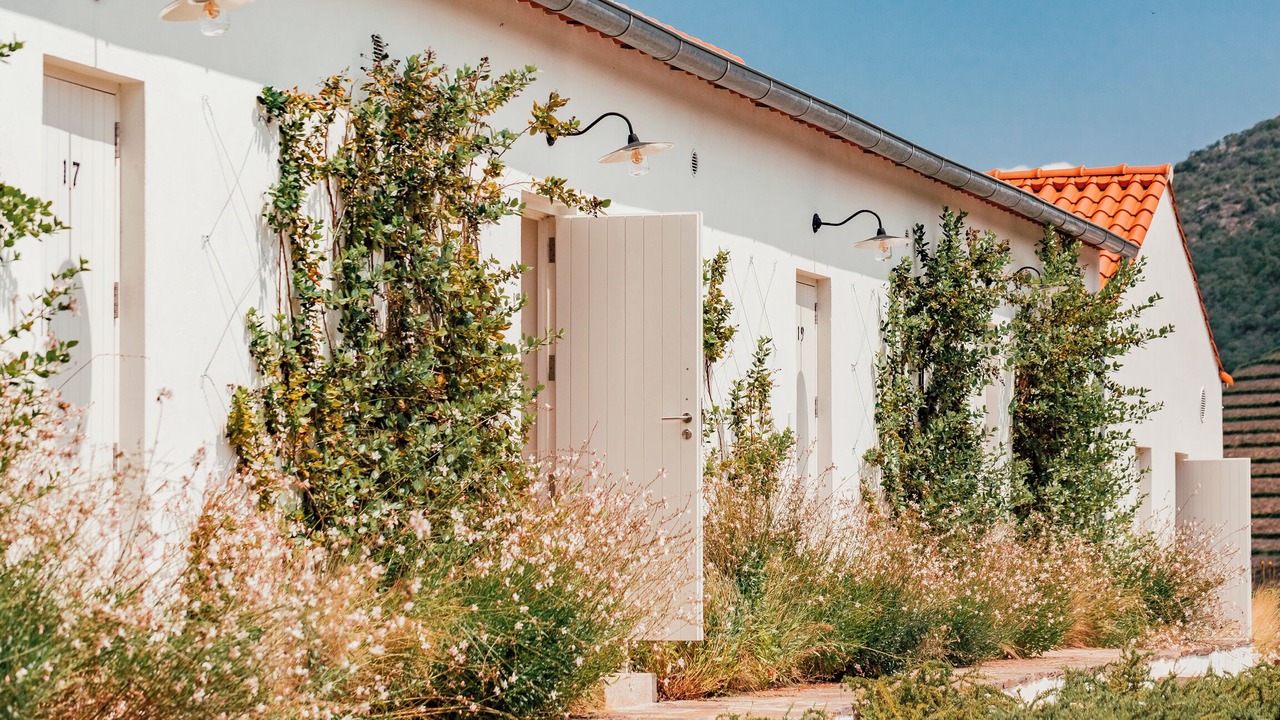 Photo of Outdoor in Cotas