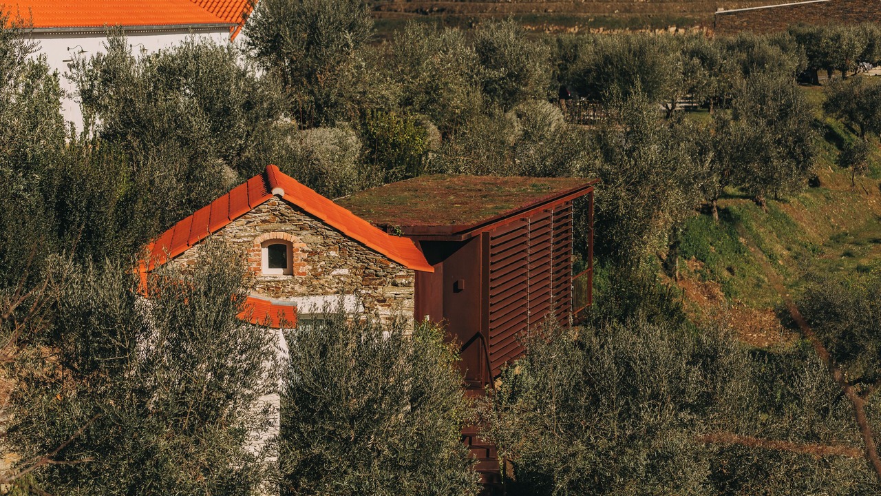 Photo of Outdoor in Cotas