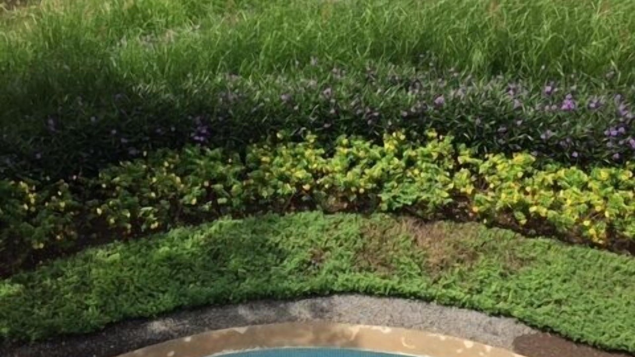 Photo of Outdoor in Rancho Santana