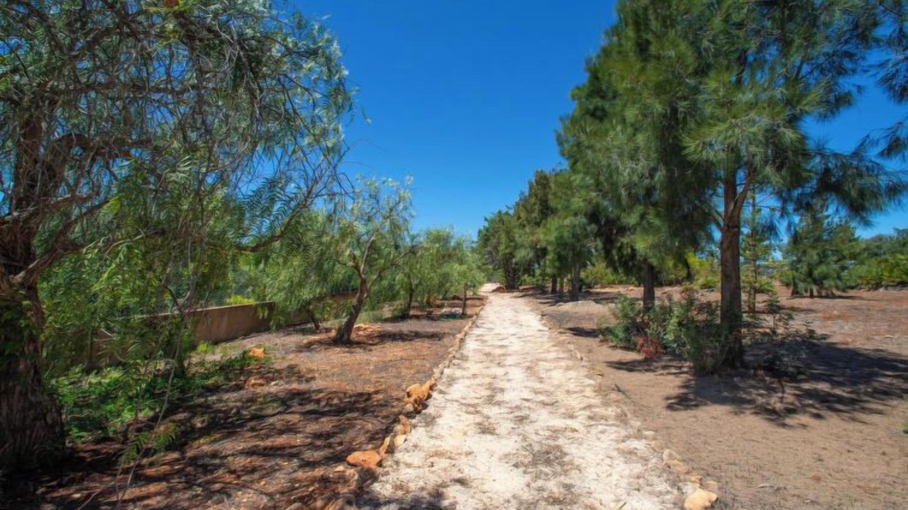 Photo of Outdoor in Sargacal