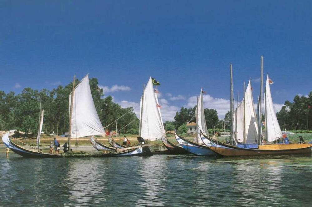 Photo of Others in Ilhavo