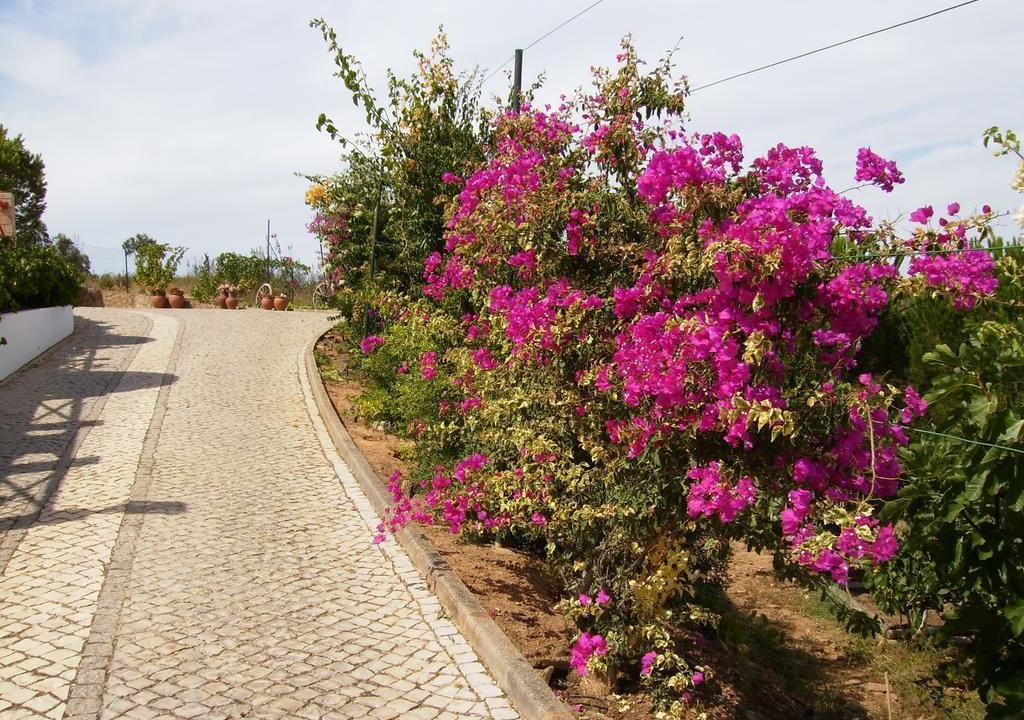 Photo of Outdoor in Bravura
