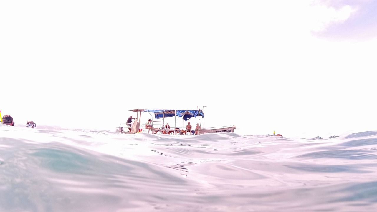 Photo of Others in Robinson Crusoe Island
