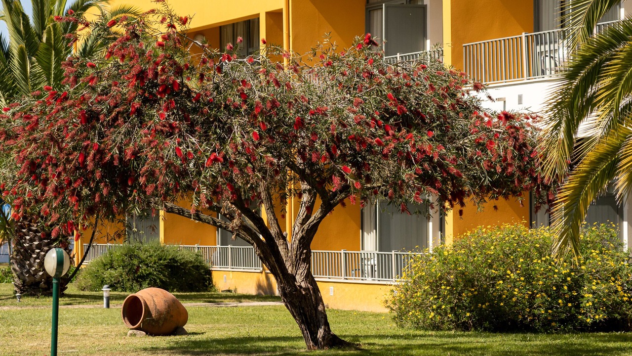 Photo of Outdoor in Vila Nova de Santo Andre