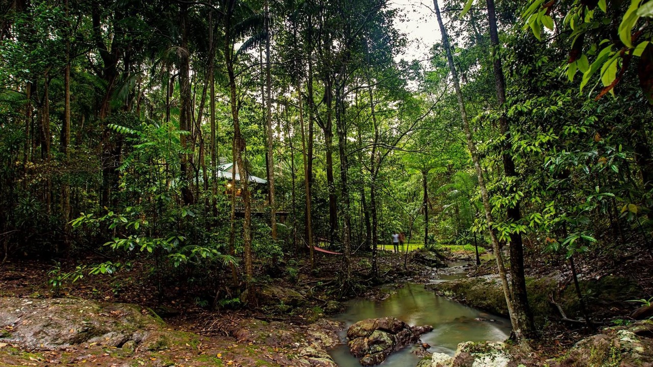 Photo of Outdoor in North Maleny