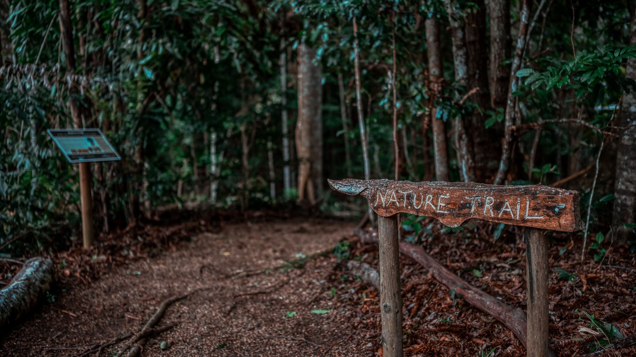 Photo of Outdoor in North Maleny