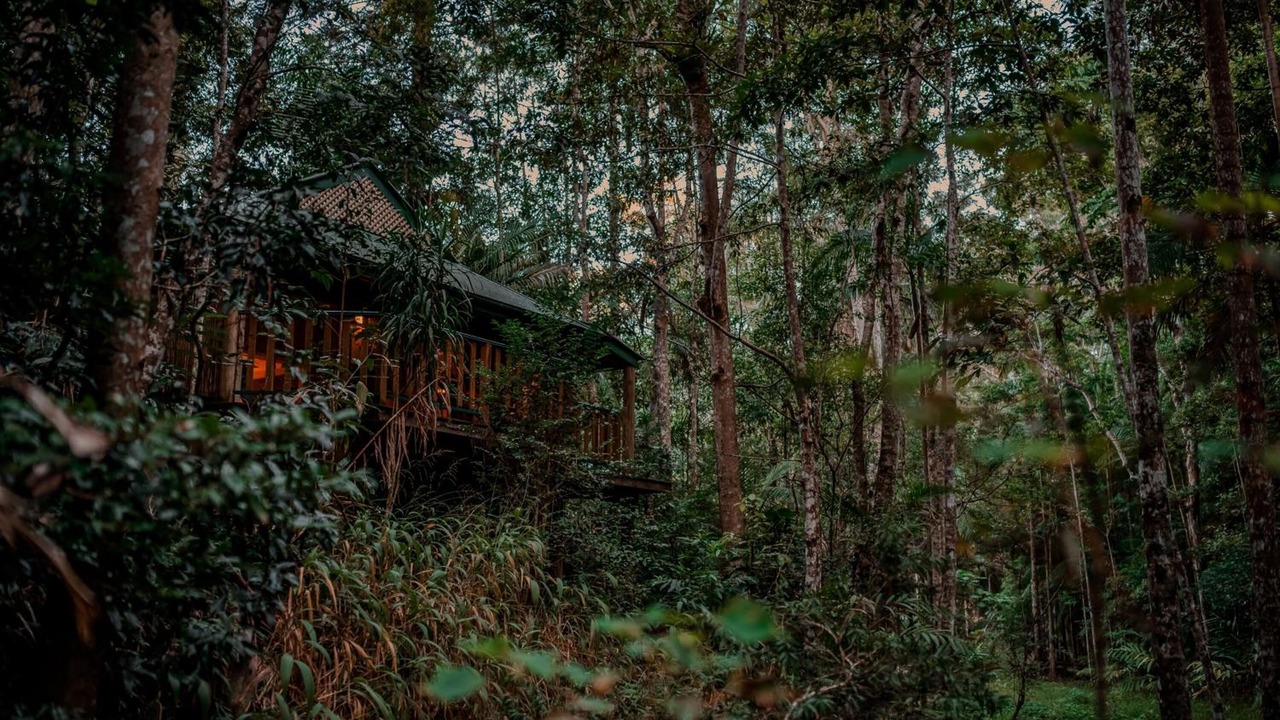 Photo of Outdoor in North Maleny