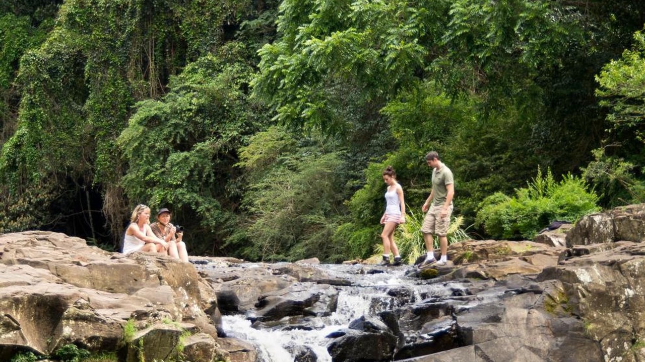 Photo of Outdoor in North Maleny
