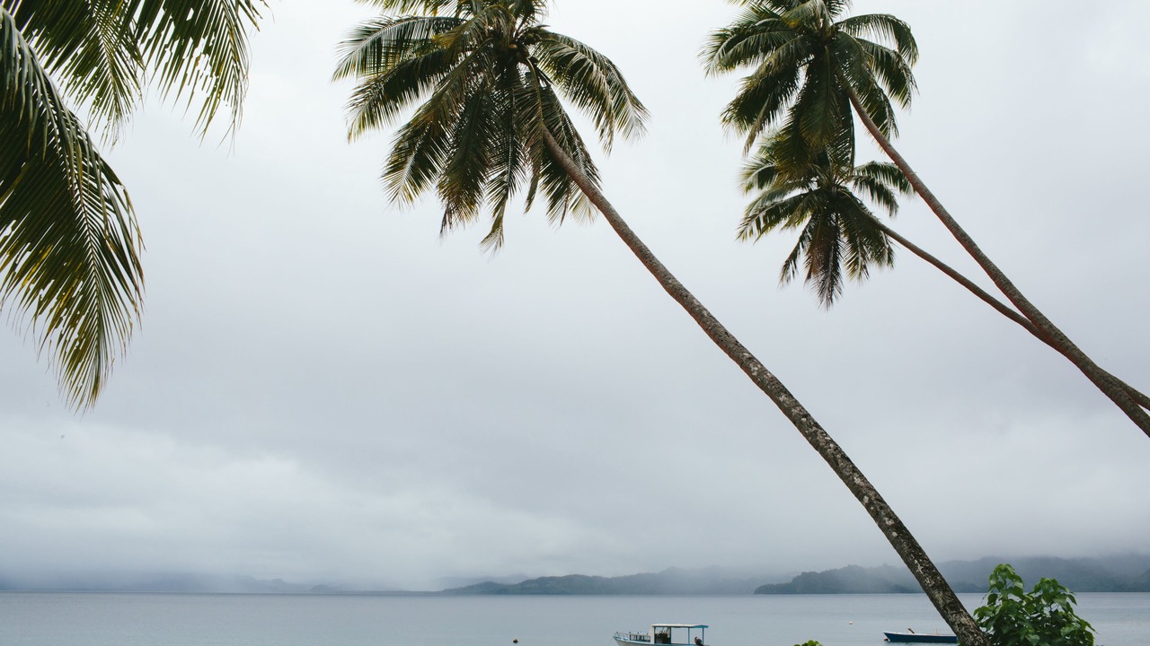 Photo of Others in Savusavu