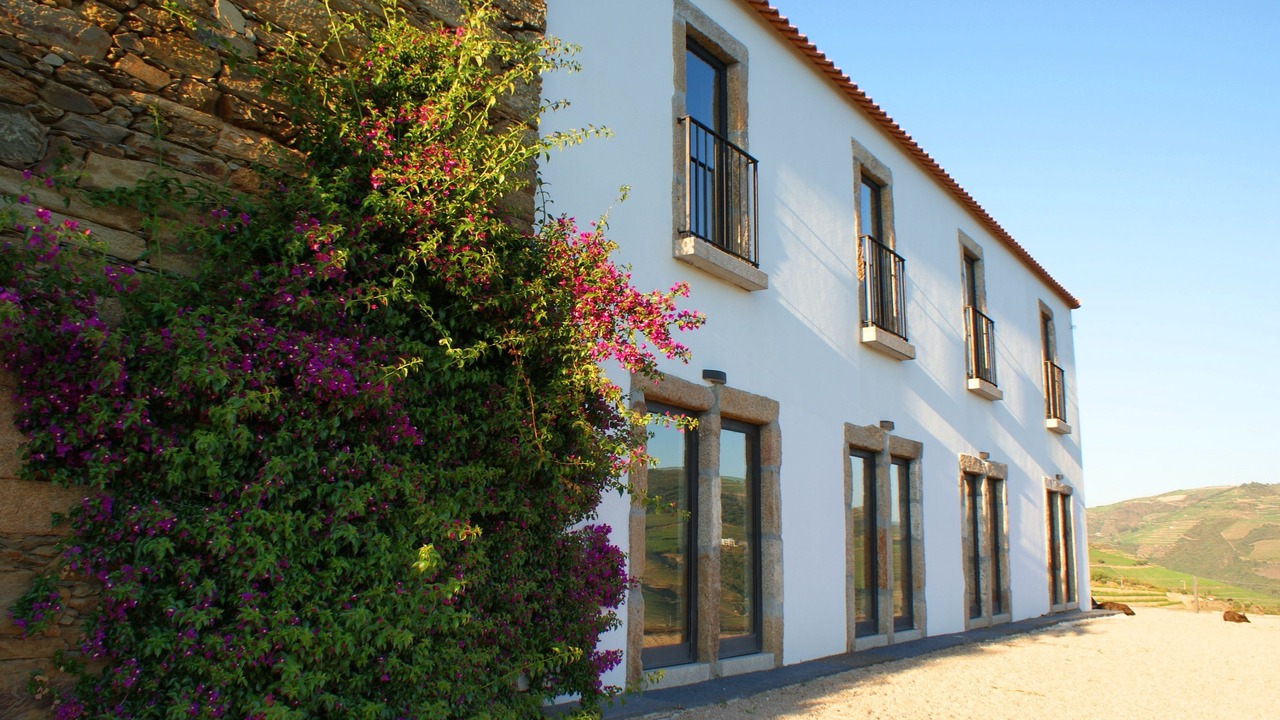 Photo of Outdoor in Bomfim