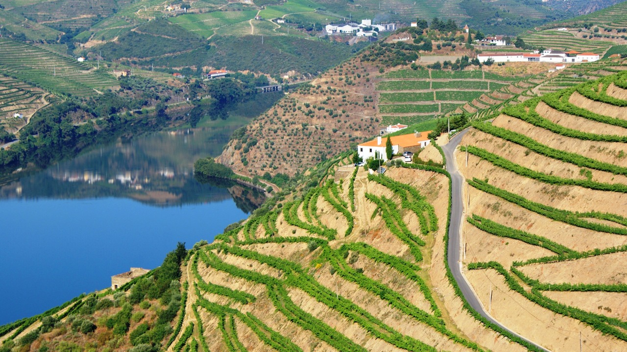 Photo of Outdoor in Bomfim