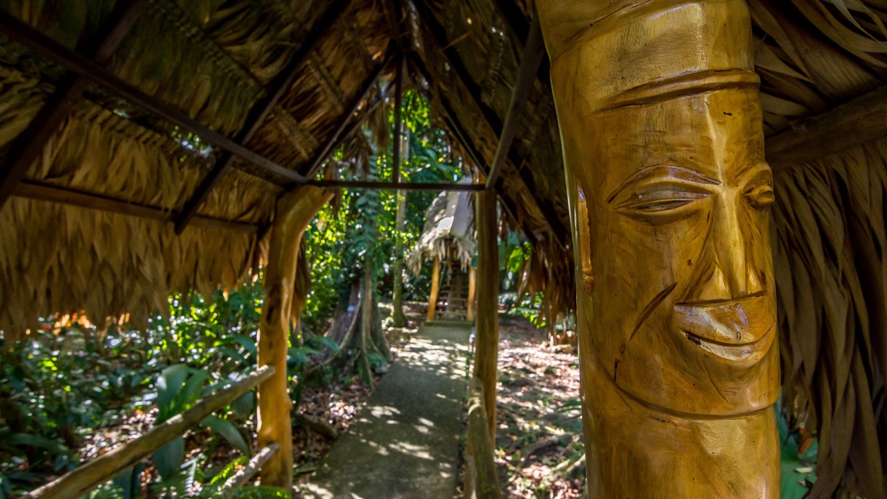 Photo of Outdoor in Cocles
