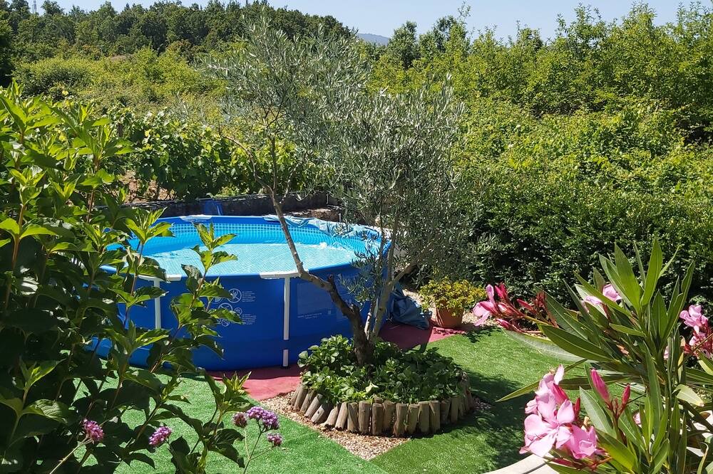 Photo of Outdoor in Arganil
