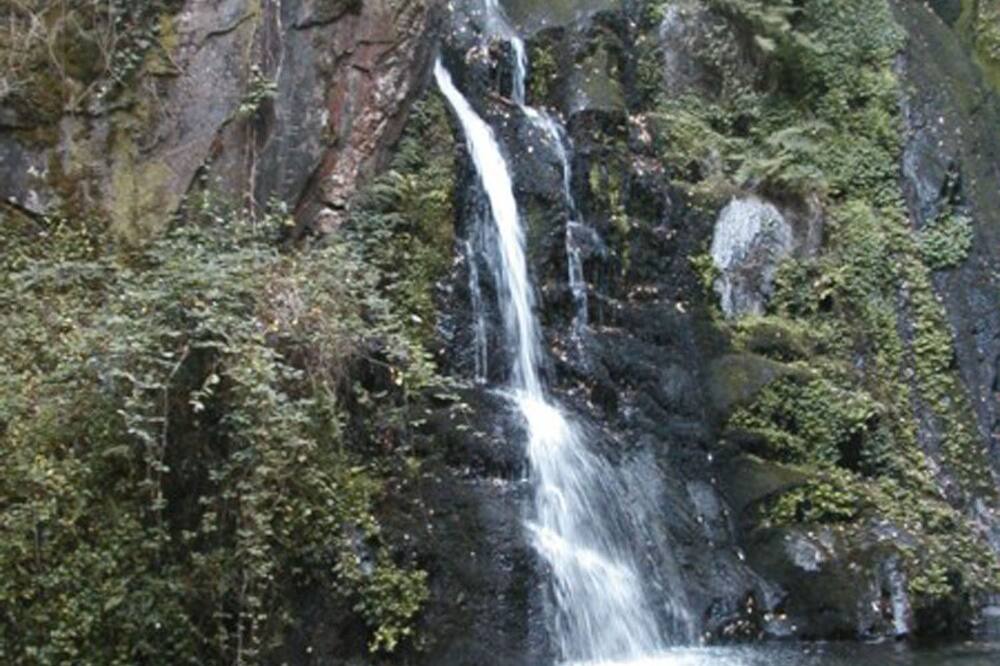 Photo of Outdoor in Arganil