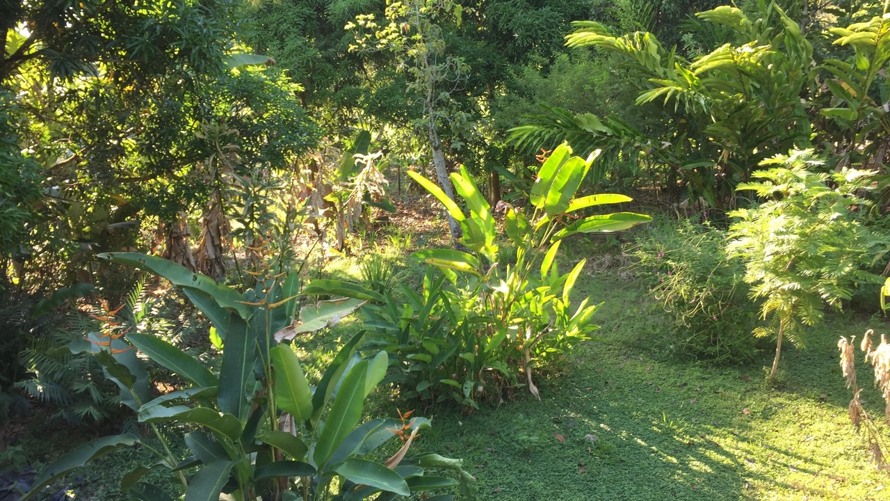 Photo of Outdoor in Drake Bay