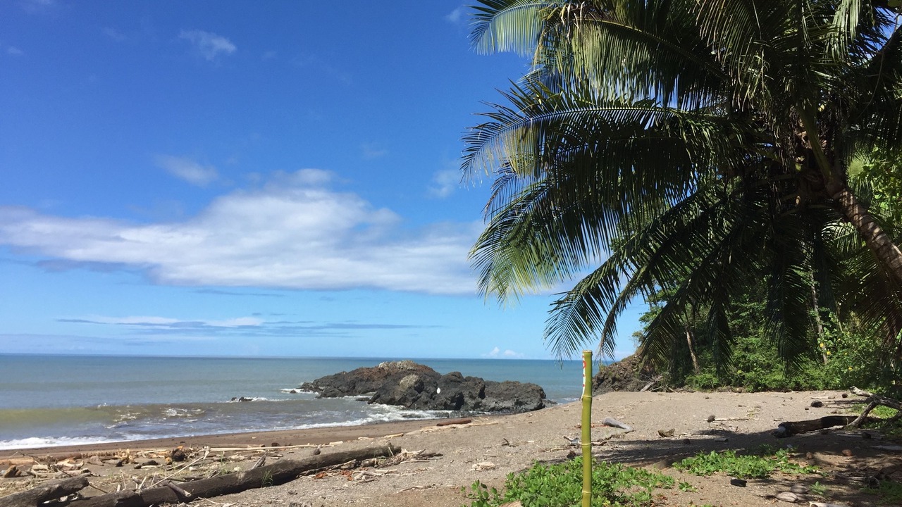 Photo of Outdoor in Drake Bay